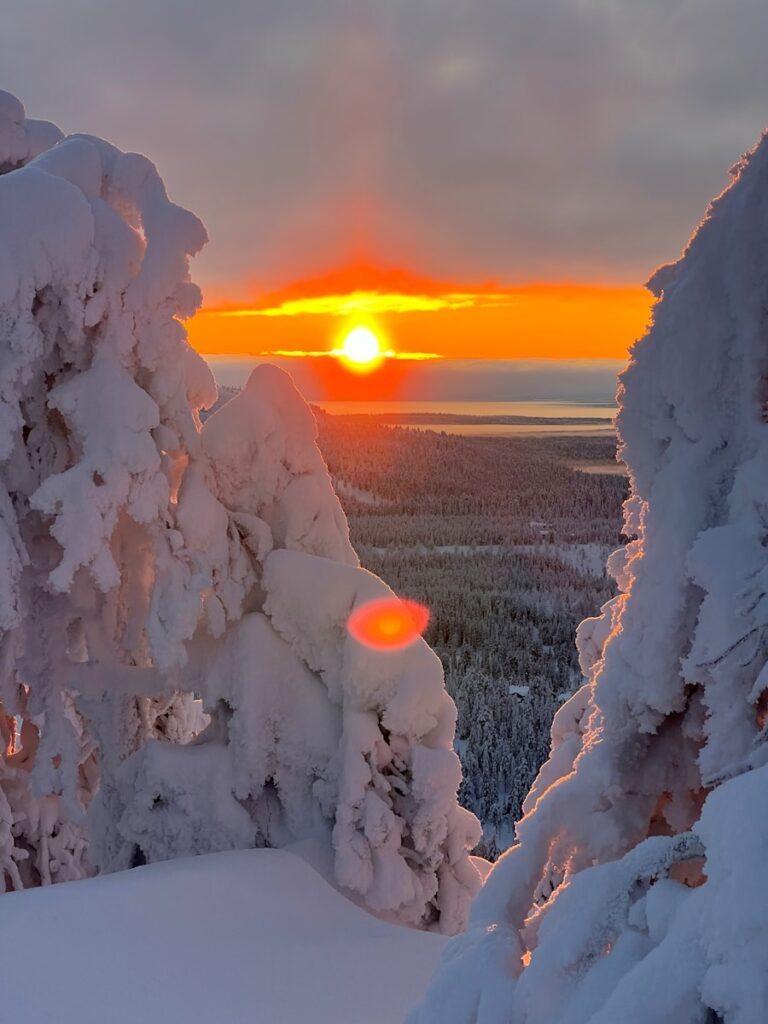 Tykkypuut Syöte