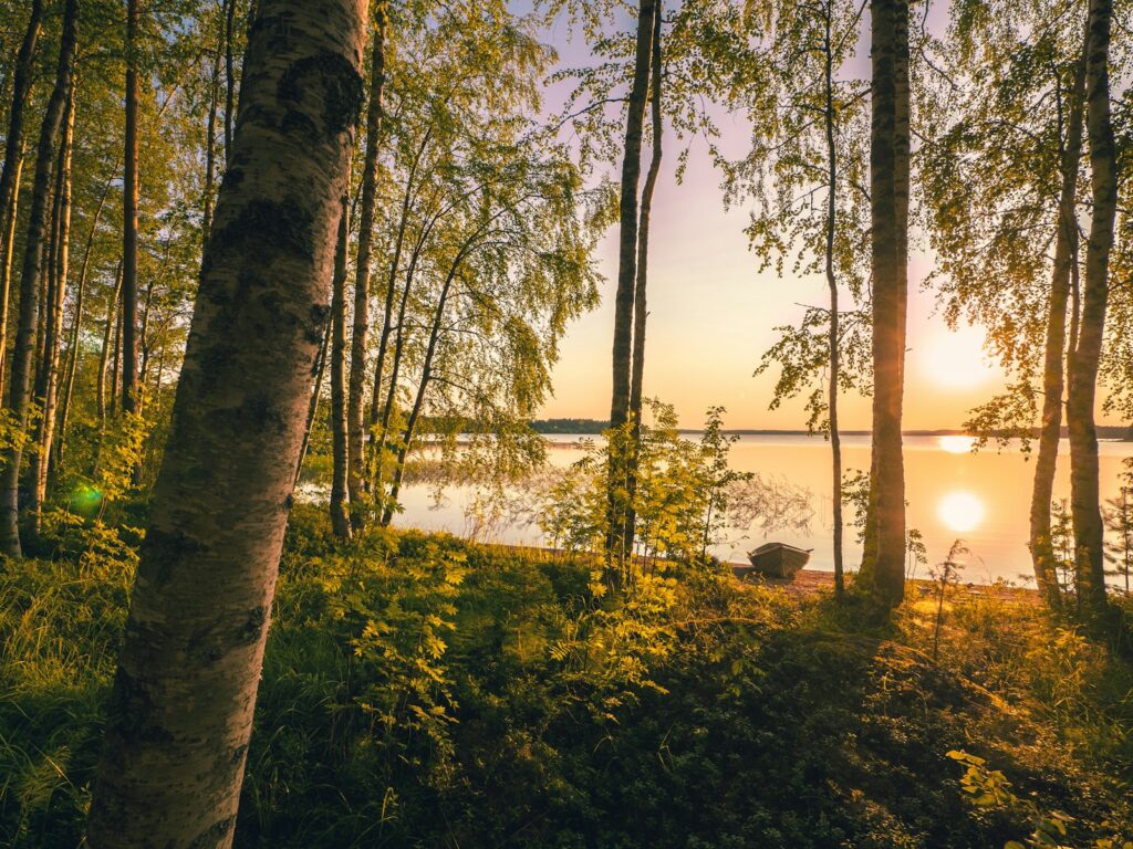 Yötön yö